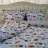 Lenjerie de pat LiLiMax

 Kids Collection Cars McQueen 160x200x30, Ranforce, Albastru, Multicolor