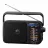 Radio portabil PANASONIC RF-2400DEE-K