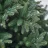 Декоративная ёлка Divi trees Collection Nordman LED 2,1 * 70