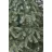 Brad decorativ Divi trees Collection American Silicon small 1,5 * 50