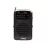 Радиоприемник Noveen PR150 Black