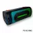 Boxa VESTA PS-X210M2