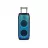 Boxa Eden PARTY SPEAKER ED-1016 WITH 2 WIRELESS MICROPHONES 100W, 10", BLACK