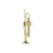 Trompeta CM
 Parrot 6416 l