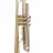 Trompeta CM
 Parrot 6416 l
