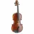 Vioara CM
 Flame MV012W 1/4