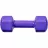 Гантель ASport A804F, 4 кг, Фиолетовый