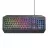 Игровая клавиатура TRUST GXT 836 EVOCX, Illuminated Keyboard, rainbow wave RGB and soft-touch keys, 25 Key Anti-Ghosting, 12 direct access media keys, USB, US, Black
