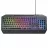 Gaming keyboard TRUST GXT 836 EVOCX, Illuminated Keyboard, rainbow wave RGB and soft-touch keys, 25 Key Anti-Ghosting, 12 direct access media keys, USB, US, Black