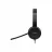Casti cu microfon LENOVO 100 USB Stereo Headset
