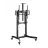 Настенное крепление GEMBIRD Display/TV Mount Stand Gembird TVS-100T-01, 55-100"; Black, VESA; max 120kg, Motorized height adjustable TV floor stand- https://gmb.nl/item.aspx?id=12904