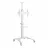 Настенное крепление GEMBIRD TVS-70T-02-W, 37-70", White