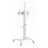 Suport perete GEMBIRD TVS-70T-02-W, 37-70", White