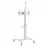 Настенное крепление GEMBIRD TVS-70T-02-W, 37-70", White