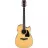 Гитара Ibanez
 AW100CE-NT