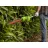 Цепная пила с аккумулятором GreenWorks 40В G40PSHK2 Set+2Ah & Incarcator