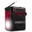 Колонка SVEN SVEN SRP-355 Red, FM/AM/SW Radio, 3W RMS, 8-band radio receiver, built-in audio files player from USB-fash, microSD and SD card storage devices, telescopic swivel antenna, built-in battery