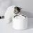 Диспенсер Petkit Petkit Eversweet 3 Pro (UVC) Smart Pet Drinking Fountain, Capacity 1.8L, UVC sterilization, Multi-layer filtration system, 304 Stainless Steel, Wireless Pump Design, PETKIT APP via bluetooth, Smart & Normal & DND Mode, Silent Pump 25dB, Product Size: