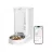 Кормушка для животных Petkit FRESH ELEMENT SOLO SMART PET FEEDER, WI-FI AND BLUETOOTH CONNECTION, 304 STAINLESS STEEL, CAPACITY: 3L, NORMAL DRY FOOD, FREEZE DRIED FOOD, APP CONTROL, DUAL-POWER SYSTEM, SIZE 316*167*296MM, WHITE
