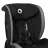 Автокресло детская PM Scaun auto 0-36kg Lionelo Aart Grey Graphite