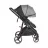 Carucior PM CARUCIOR TRANSFORMABIL 3IN1 MONI MARBELLA GREY