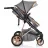 Carucior PM CARUCIOR TRANSFORMABIL 2IN1 MONI MIDAS GREY