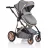 Carucior PM CARUCIOR TRANSFORMABIL 2IN1 MONI MIDAS GREY