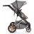 Carucior PM CARUCIOR TRANSFORMABIL 2IN1 MONI MIDAS GREY