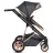 Коляска PM Carucior transformabil 2in1 Moni Midas Black