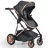 Коляска PM Carucior transformabil 2in1 Moni Midas Black