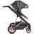 Коляска PM Carucior transformabil 2in1 Moni Midas Black