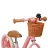 Bicicleta pentru copii PM BICICLETA FARA PEDALE LIONELO ALEX PLUS PINK ROSE