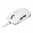 Gaming Mouse Havit Gaming Wireless Mouse Havit MS969SE, 800-8000dpi, 6 buttons, Ambidextrous, Programmable, 59g, RGB, 600mAh, 1.6m, USB+2.4Ghz+ BT, White