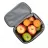 Geanta frigorifica RESTO COOLER BAG  5502