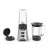 Blender Tefal BL16GE30, Silver, (400 W)