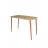 Masa de birou Nex Home MASA DE BIROU WOODEN  105 X 60 CM, STEJAR