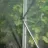 Sera Demetra Sera gradina profesionala Demetra Italia, 54m2, 12-4.5-2.5m 150 mcr, UV