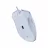 Mouse RAZER MOUSE DEATHADDER ESSENTIAL WHITE EDITION