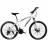 Bicicleta Frike ВЕЛОСИПЕД  TY-MTB 24 WHITE/BLUE