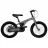 Bicicleta pentru copii TyBike ДЕТСКИЙ ВЕЛОСИПЕД  BK-08 20 GREY