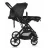 Carucior Moni КОЛЯСКА  RAFAELLO 2IN1 BLACK