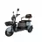 Bicicleta electrica Weter TRICICLETA ELECTRICA  1000 IN