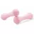 Haltera Spokey Гантель Spokey Bone 2x2kg (941962)