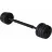 Haltera Dumbbell Гантель FunFit Dumbbell Set 2x10kg (4258)