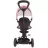 Bicicleta pentru copii QPlay Детский велосипед Qplay Rito Rubber Pink