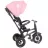 Bicicleta pentru copii QPlay Детский велосипед Qplay Rito Rubber Pink