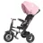 Bicicleta pentru copii QPlay Детский велосипед Qplay Rito Rubber Pink
