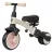 Bicicleta pentru copii QPlay Детский велосипед Qplay Stager 3 in1 Pink