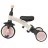 Bicicleta pentru copii QPlay Детский велосипед Qplay Stager 3 in1 Pink