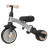 Bicicleta pentru copii QPlay Детский велосипед Qplay Stager 3 in1 Platinum/Golden